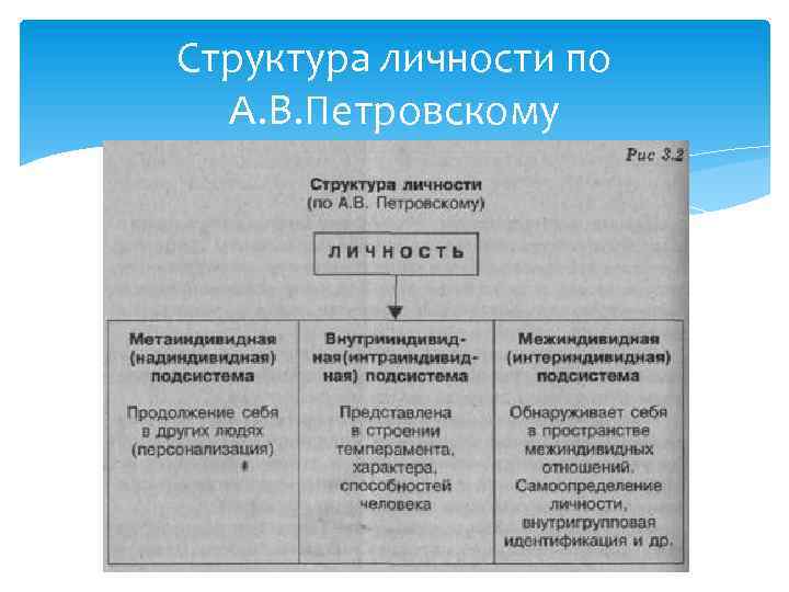 Структура личности по А. В. Петровскому 