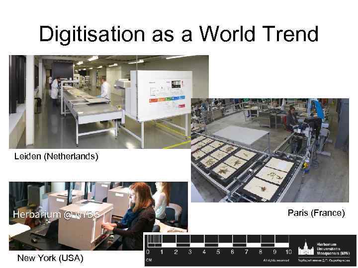 Digitisation as a World Trend Leiden (Netherlands) Paris (France) New York (USA) 