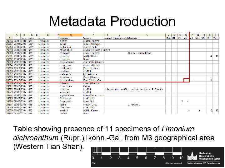Metadata Production Table showing presence of 11 specimens of Limonium dichroanthum (Rupr. ) Ikonn.