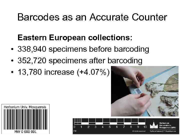 Barcodes as an Accurate Counter Eastern European collections: • 338, 940 specimens before barcoding