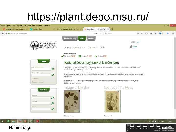 https: //plant. depo. msu. ru/ Home page 