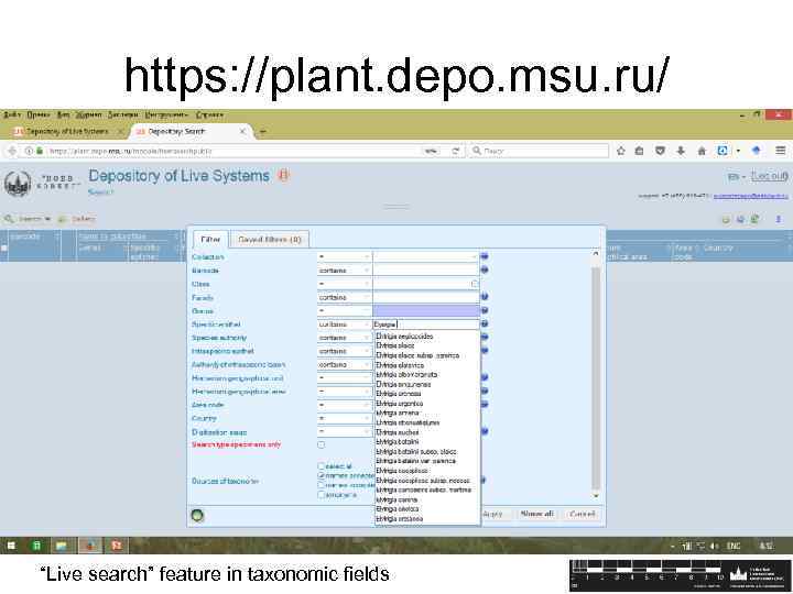 https: //plant. depo. msu. ru/ “Live search” feature in taxonomic fields 