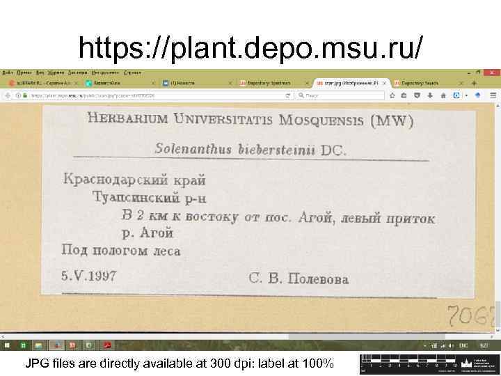 https: //plant. depo. msu. ru/ JPG files are directly available at 300 dpi: label