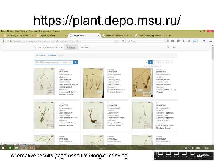 https: //plant. depo. msu. ru/ Alternative results page used for Google indexing 