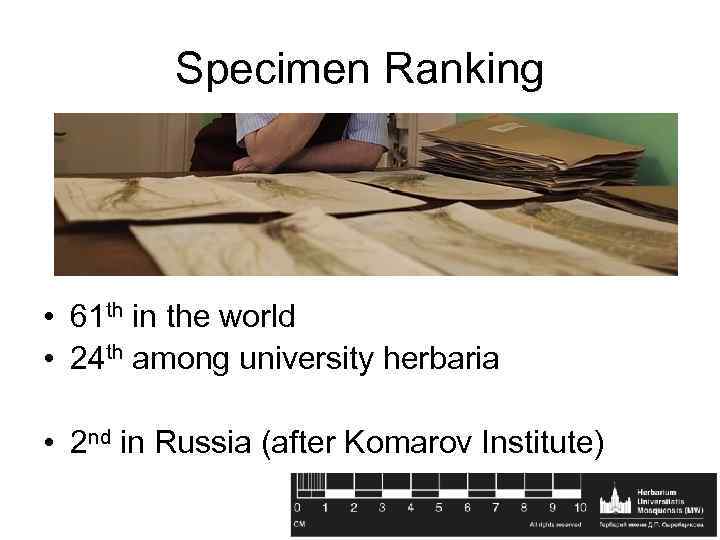 Specimen Ranking • 61 th in the world • 24 th among university herbaria