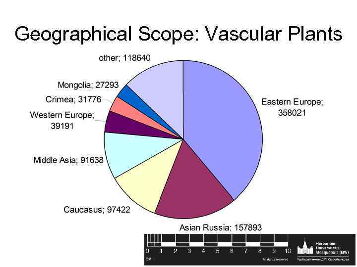 Geographical Scope: Vascular Plants 