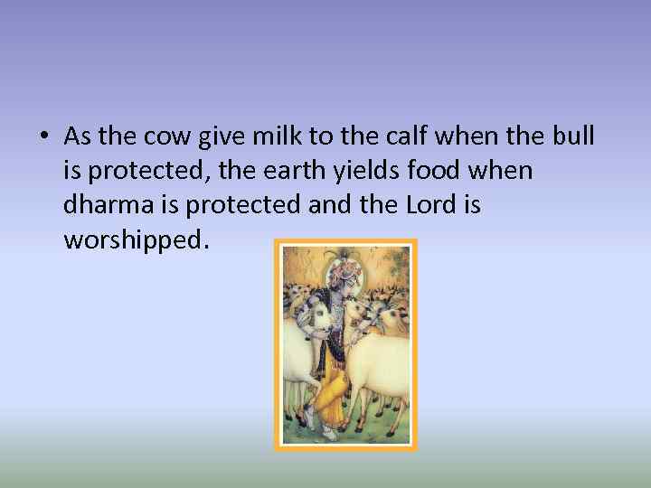  • As the cow give milk to the calf when the bull is