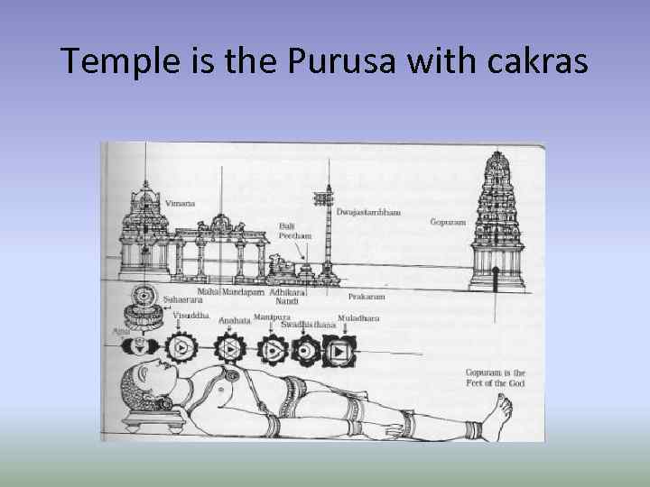 Temple is the Purusa with cakras 