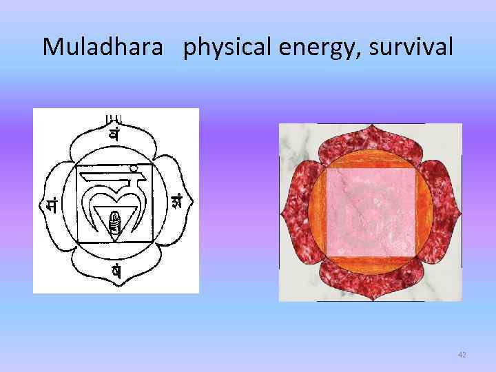 Muladhara physical energy, survival 42 