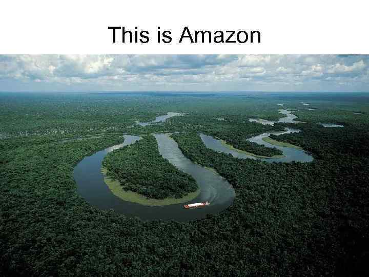 This is Amazon 