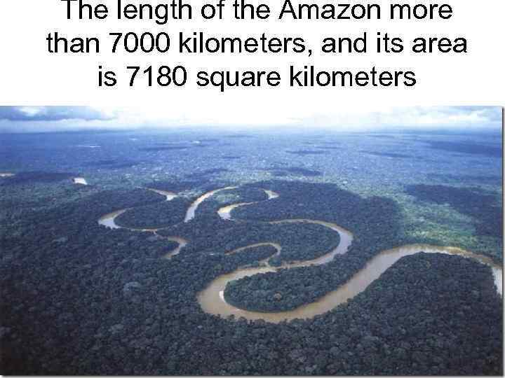 The length of the Amazon more than 7000 kilometers, and its area is 7180