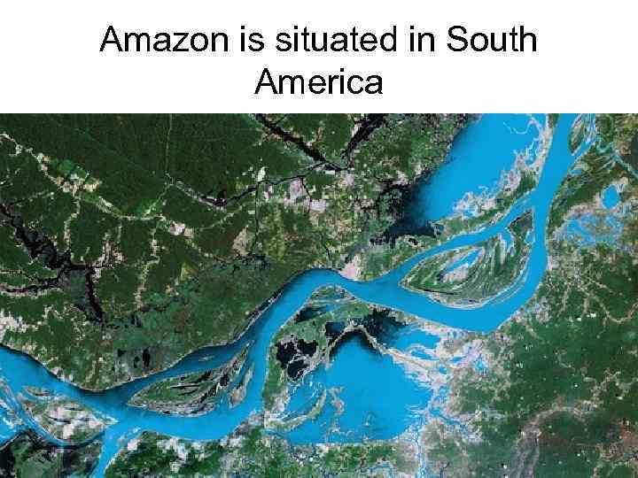 Amazon is situated in South America 