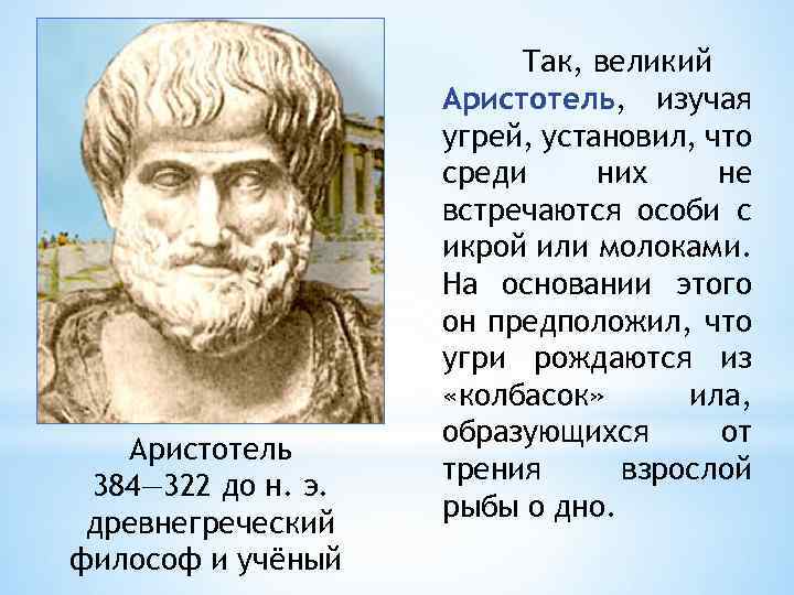 Аристотель происхождение человека