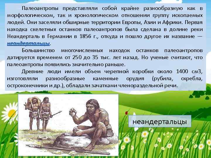 Палеоантропы представляли собой крайне разнообразную как в морфологическом, так и хронологическом отношении группу ископаемых