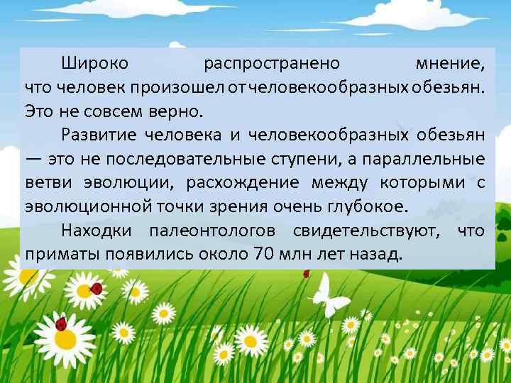 Широко распространено мнение, что человек произошел от человекообразных обезьян. Это не совсем верно. Развитие