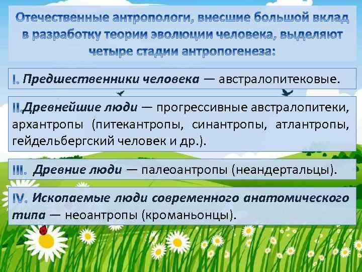  Предшественники человека — австралопитековые. Древнейшие люди — прогрессивные австралопитеки, архантропы (питекантропы, синантропы, атлантропы,