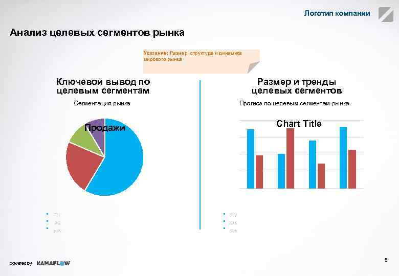 Логотип компании Анализ целевых сегментов рынка Указание: Размер, структура и динамика мирового рынка Ключевой