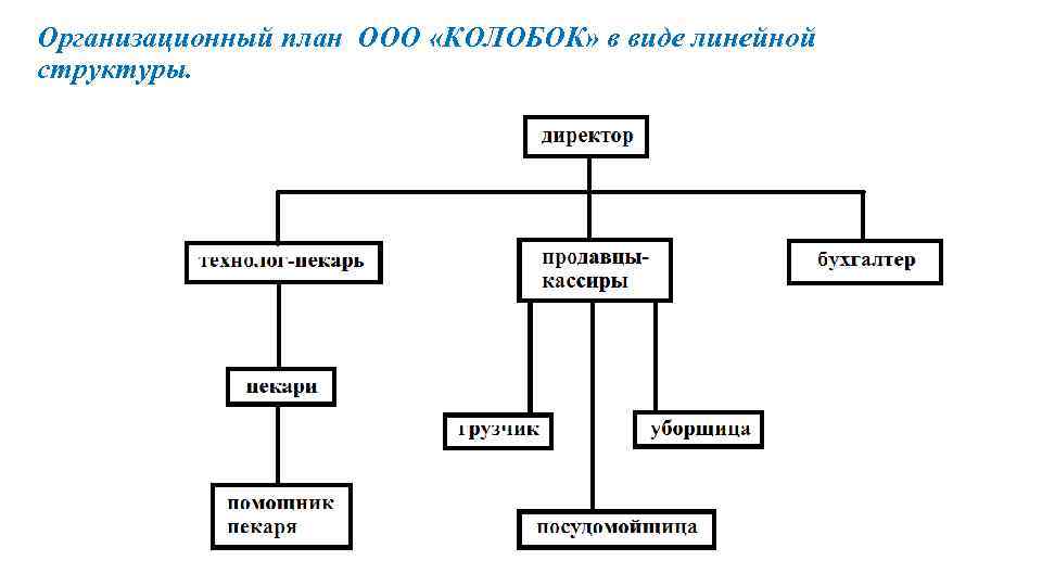 Организационный план ООО «КОЛОБОК» в виде линейной структуры. 