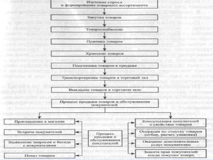 Схема торгово технологического процесса в розничной торговле