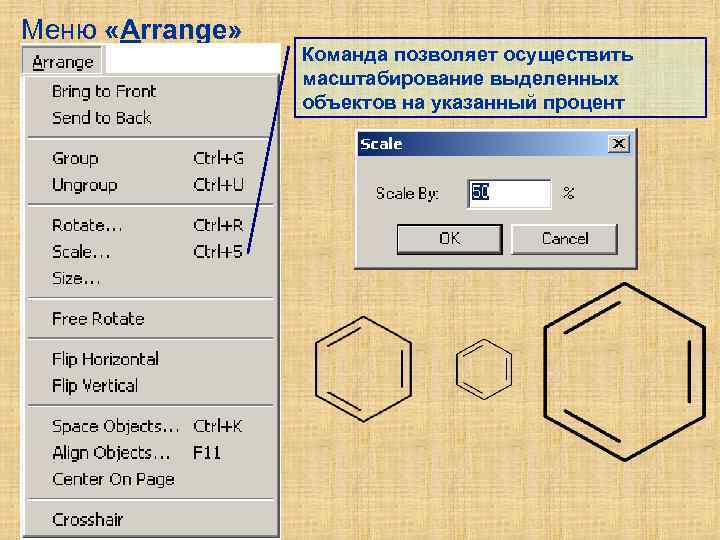 Меню «Arrange» Команда позволяет осуществить масштабирование выделенных объектов на указанный процент 