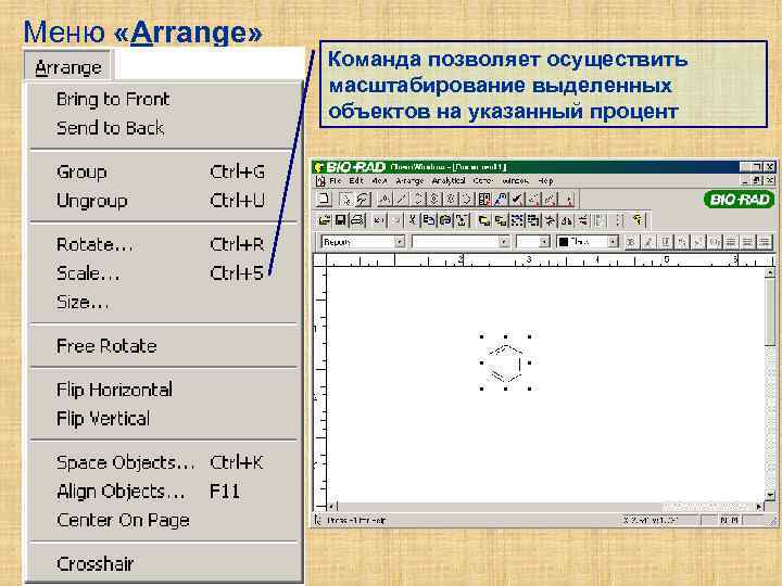 Меню «Arrange» Команда позволяет осуществить масштабирование выделенных объектов на указанный процент 