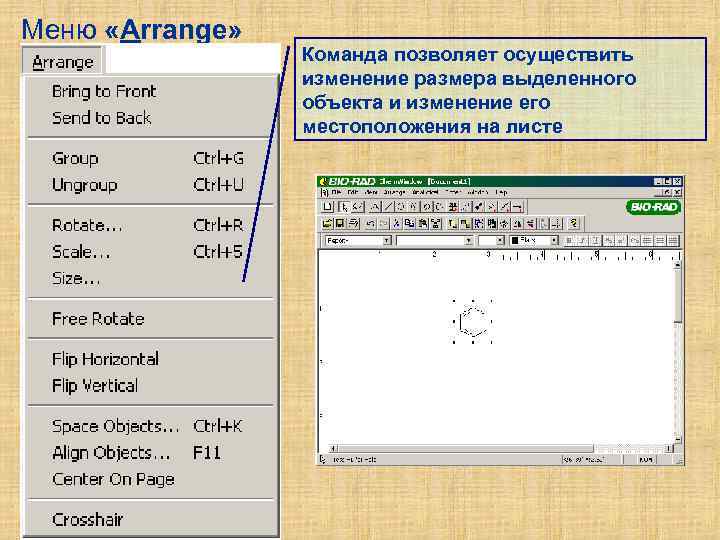 Меню «Arrange» Команда позволяет осуществить изменение размера выделенного объекта и изменение его местоположения на