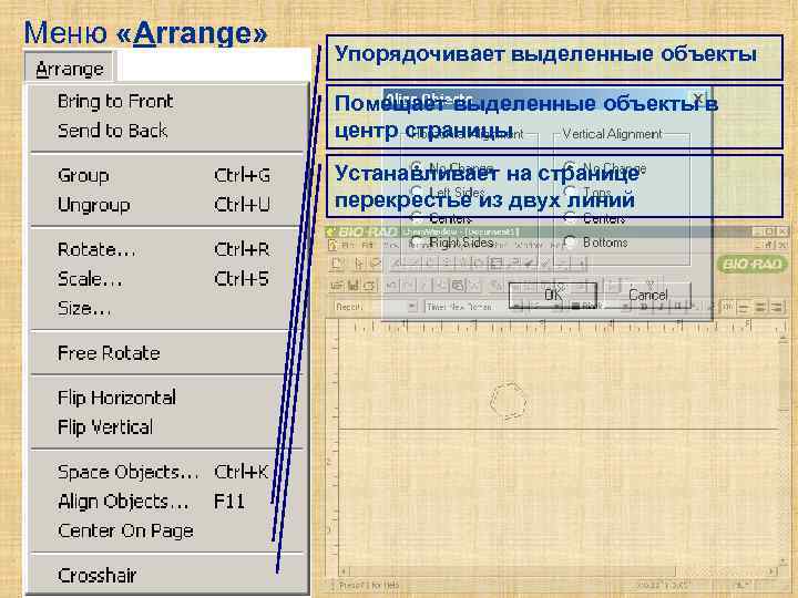 Меню «Arrange» Упорядочивает выделенные объекты Помещает выделенные объекты в центр страницы Устанавливает на странице