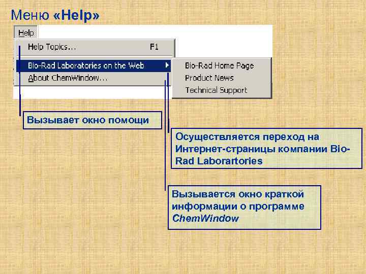 Меню «Help» Вызывает окно помощи Осуществляется переход на Интернет-страницы компании Bio. Rad Laborartories Вызывается