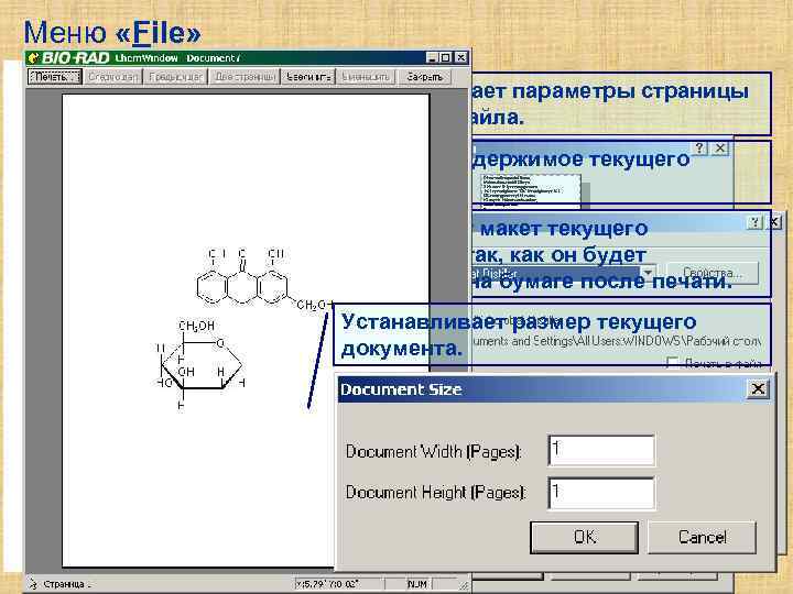 Меню «File» Устанавливает параметры страницы текущего файла. Печатает содержимое текущего документа. Показывает макет текущего