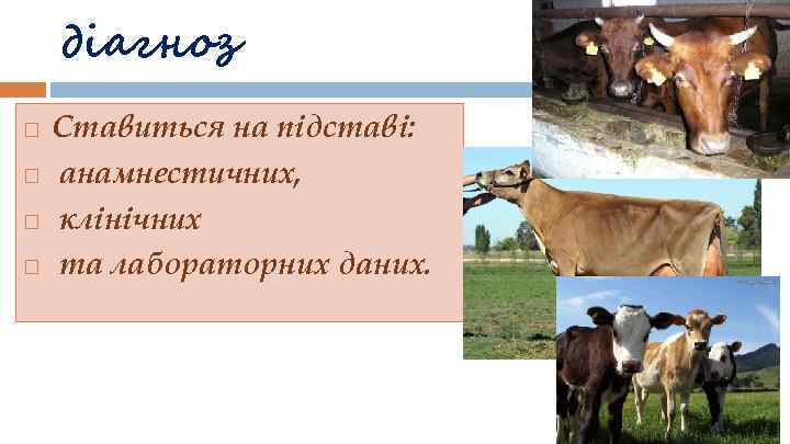 діагноз Ставиться на підставі: анамнестичних, клінічних та лабораторних даних. 