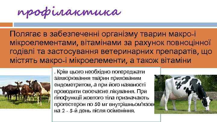 профілактика Полягає в забезпеченні організму тварин макро-і мікроелементами, вітамінами за рахунок повноцінної годівлі та