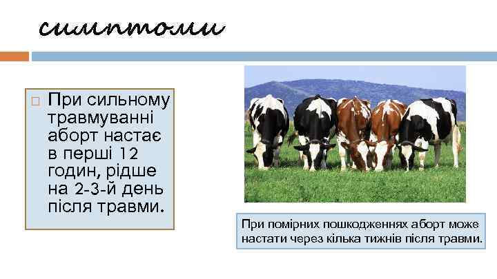 симптоми При сильному травмуванні аборт настає в перші 12 годин, рідше на 2 -3