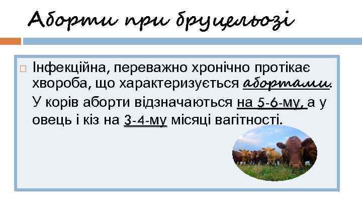 Аборти при бруцельозі Інфекційна, переважно хронічно протікає хвороба, що характеризується абортами. У корів аборти