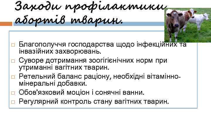 Заходи профілактики абортів тварин. Благополуччя господарства щодо інфекційних та інвазійних захворювань. Суворе дотримання зоогігієнічних