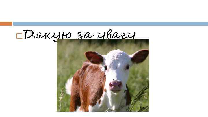  Дякую за увагу 