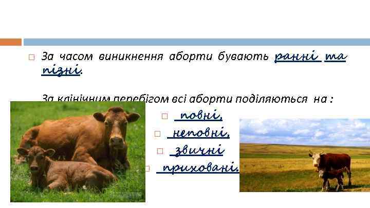  За часом виникнення аборти бувають ранні та пізні. За клінічним перебігом всі аборти