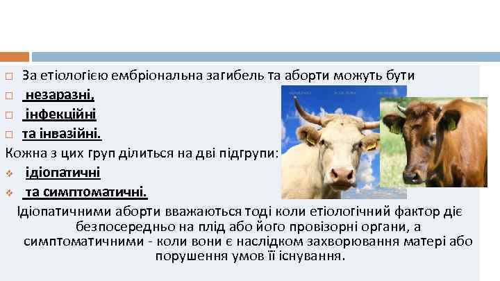 За етіологією ембріональна загибель та аборти можуть бути незаразні, інфекційні та інвазійні. Кожна з