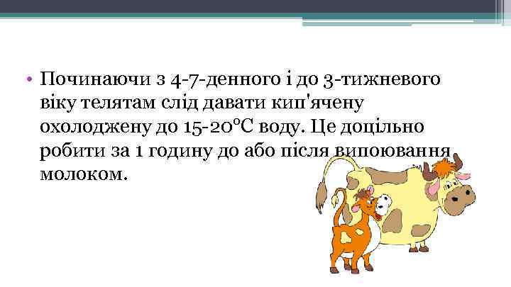  • Починаючи з 4 -7 -денного і до 3 -тижневого віку телятам слід