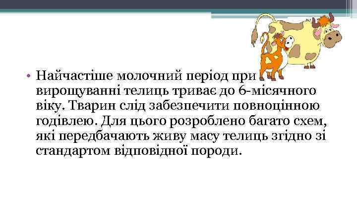  • Найчастіше молочний період при вирощуванні телиць триває до 6 -місячного віку. Тварин