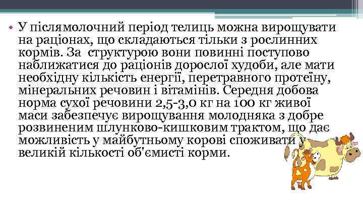  • У післямолочний період телиць можна вирощувати на раціонах, що складаються тільки з