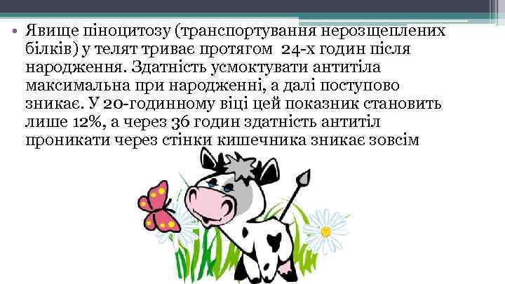  • Явище піноцитозу (транспортування нерозщеплених білків) у телят триває протягом 24 -х годин