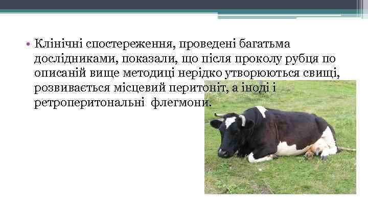  • Клінічні спостереження, проведені багатьма дослідниками, показали, що після проколу рубця по описаній