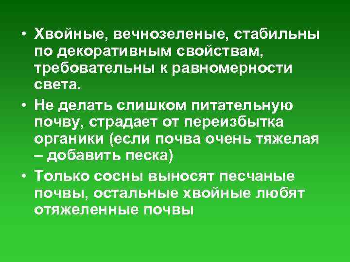  • Хвойные, вечнозеленые, стабильны по декоративным свойствам, требовательны к равномерности света. • Не
