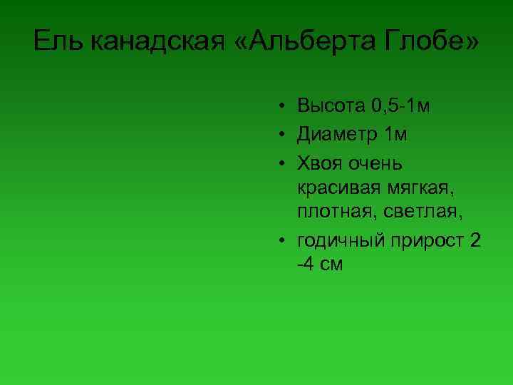 Ель канадская «Альберта Глобе» • Высота 0, 5 -1 м • Диаметр 1 м