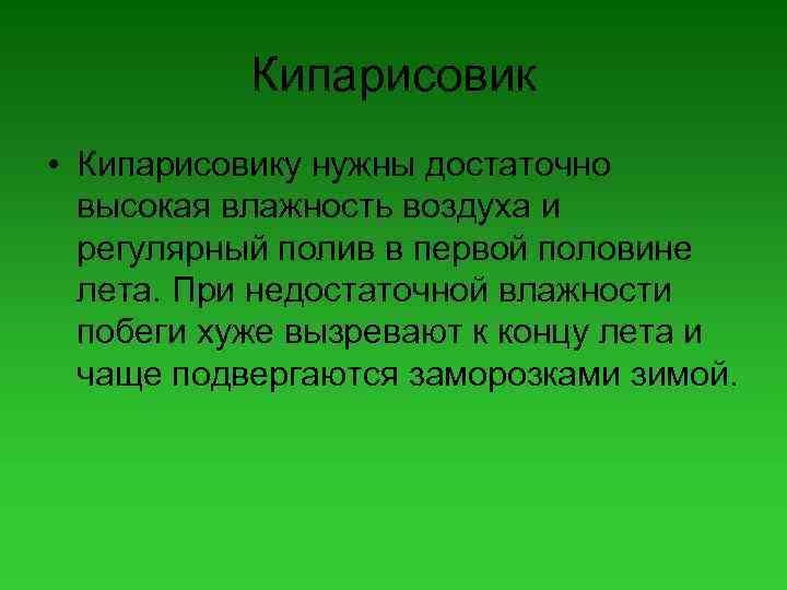 Кипарисовик • Кипарисовику нужны достаточно высокая влажность воздуха и регулярный полив в первой половине