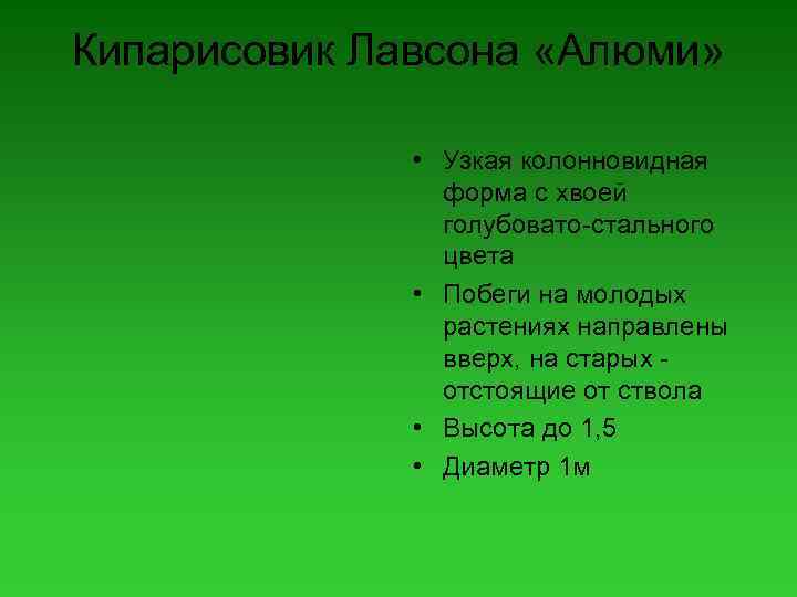 Кипарисовик Лавсона «Алюми» • Узкая колонновидная форма с хвоей голубовато-стального цвета • Побеги на