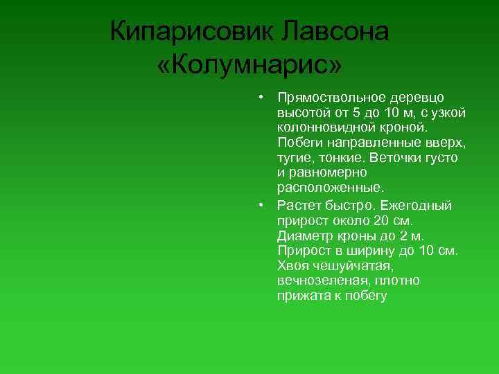 Кипарисовик Лавсона «Колумнарис» • Прямоствольное деревцо высотой от 5 до 10 м, с узкой