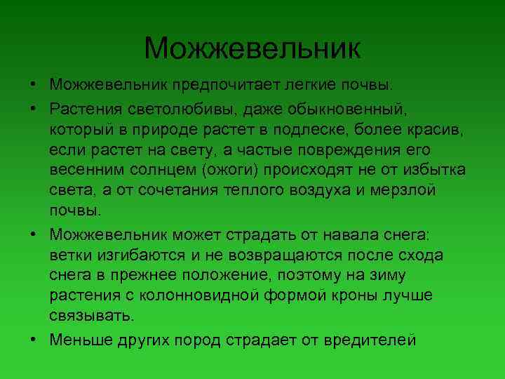 Можжевельник • Можжевельник предпочитает легкие почвы. • Растения светолюбивы, даже обыкновенный, который в природе