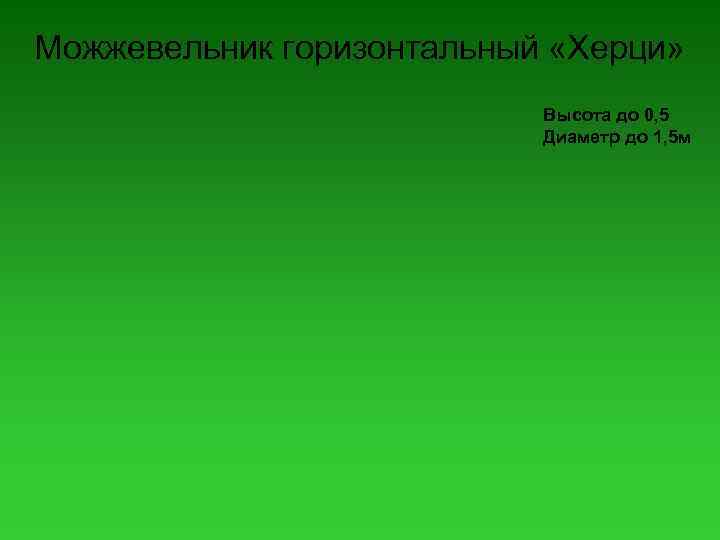 Можжевельник горизонтальный «Херци» Высота до 0, 5 Диаметр до 1, 5 м 