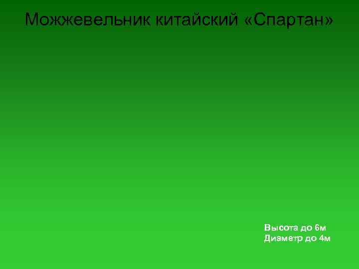 Можжевельник китайский «Спартан» Высота до 6 м Диаметр до 4 м 